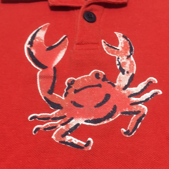 2T (5/$20) Heavier Cotton Polo by Joe Fresh - Picture 6 of 10